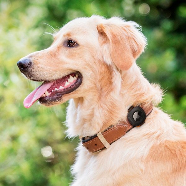 Spigen Apple AirTag Hållare Pet Collar ComforTag